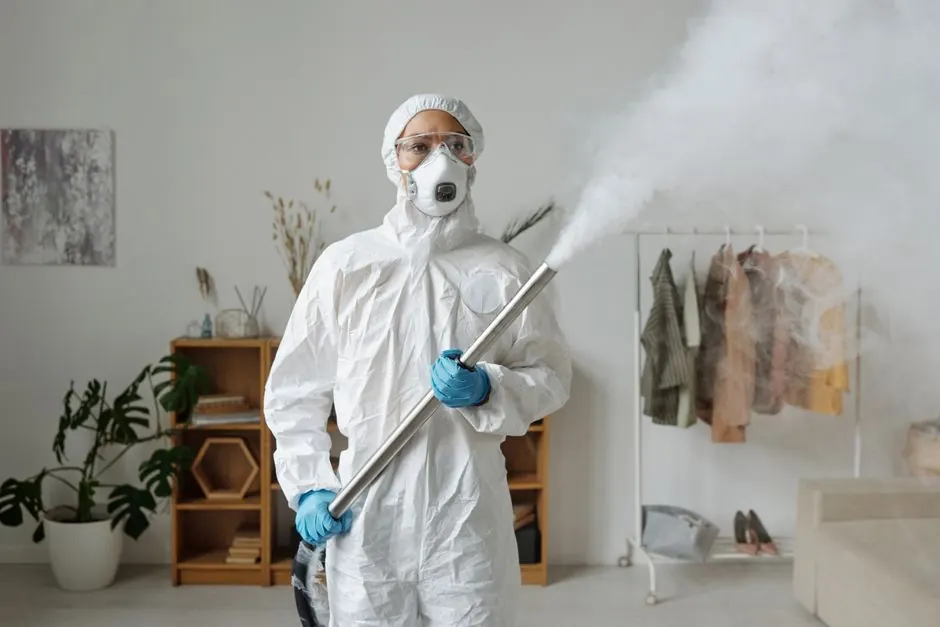 Clearing a Kitchen for Cooking